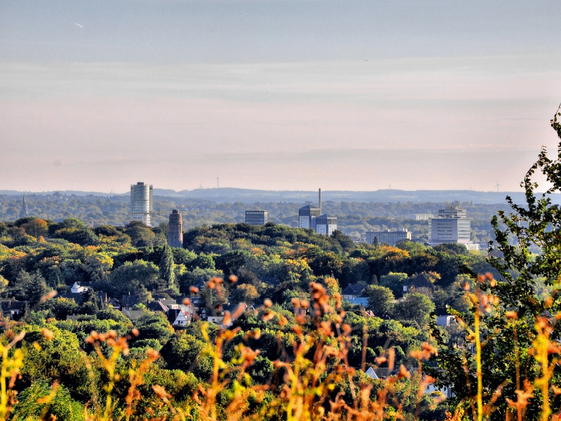 Blick zum Zentrum vom Tippelsberg