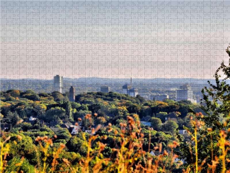 Blick zum Zentrum vom Tippelsberg