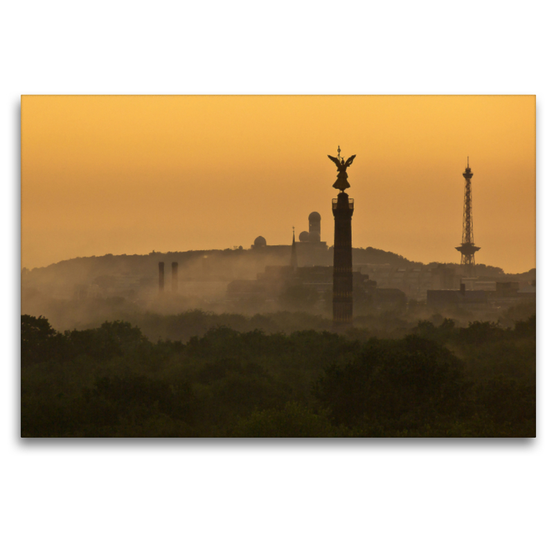 Tiergarten mit Siegessäule