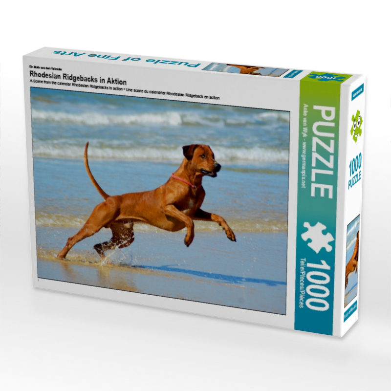 Ein Motiv aus dem Kalender Rhodesian Ridgebacks in Aktion