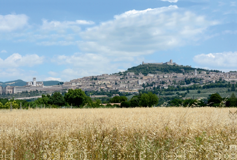 Blick auf Assisi