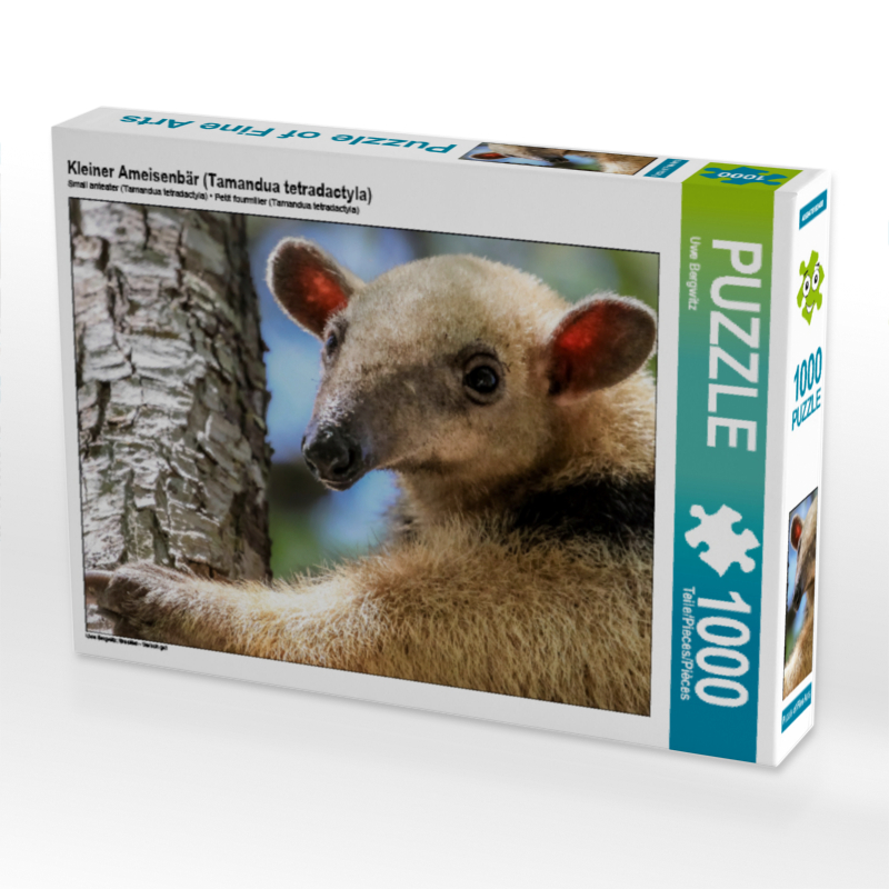 Kleiner Ameisenbär (Tamandua tetradactyla)