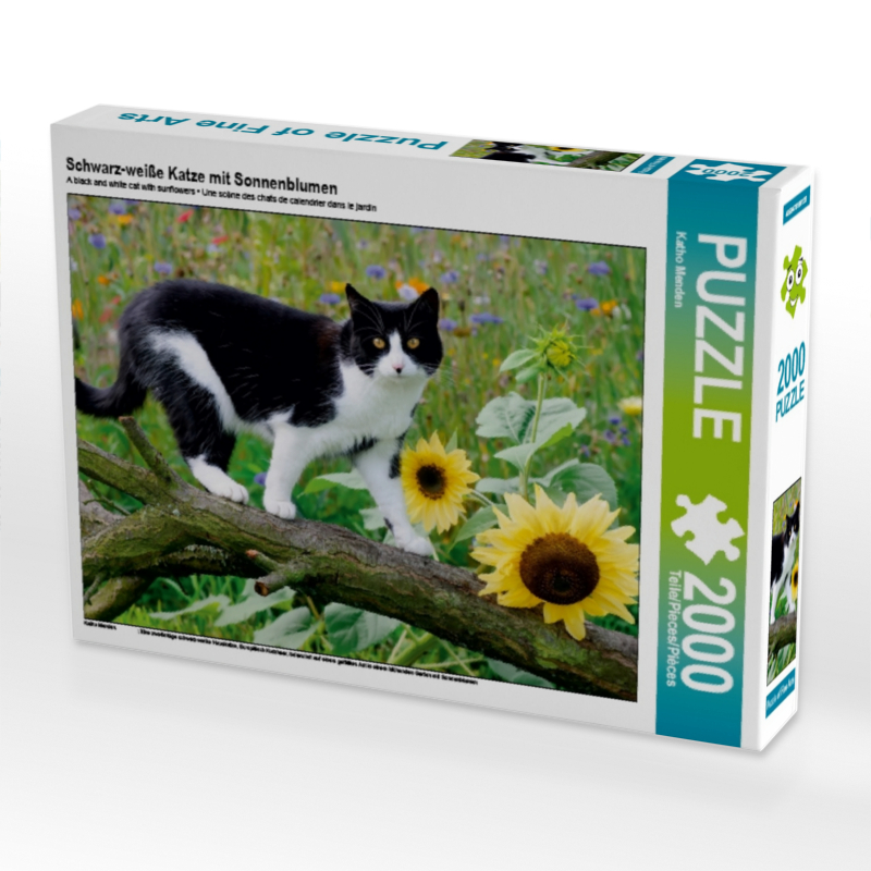 Schwarz-weiße Katze mit Sonnenblumen