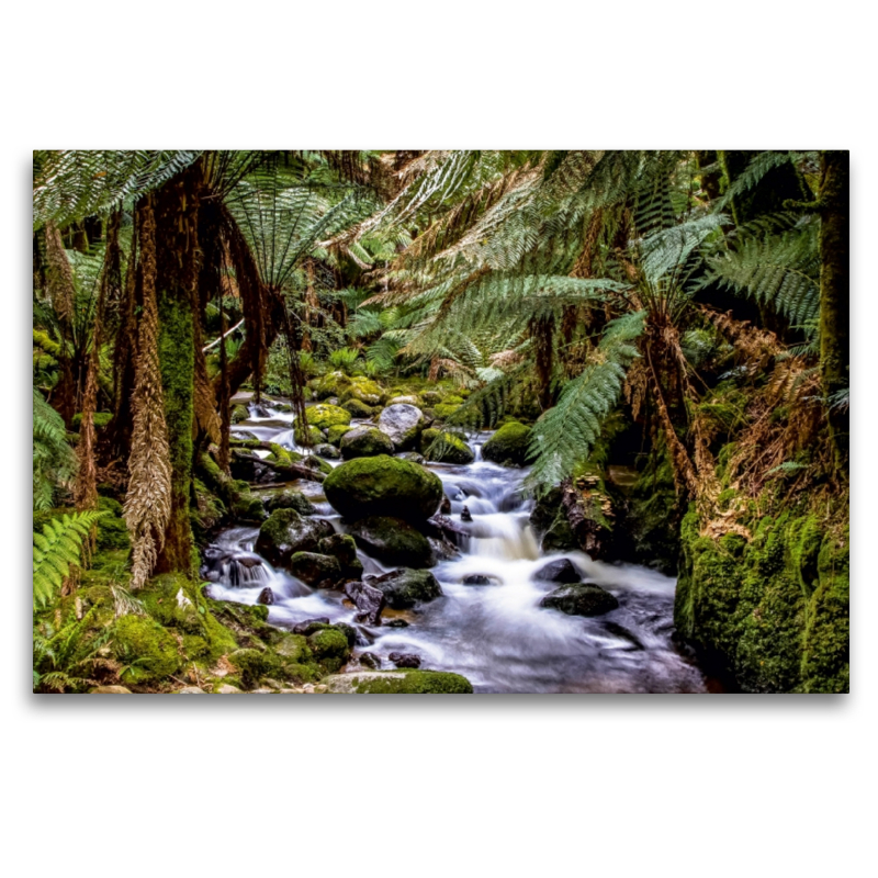 St. Columba Falls in Tasmanien