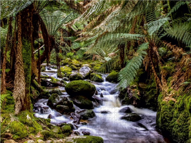 St. Columba Falls in Tasmanien