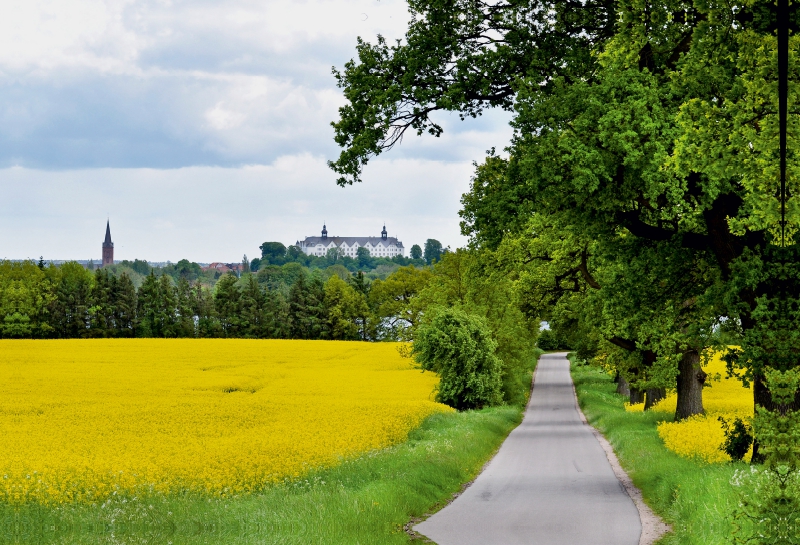 Das Plöner Schloss