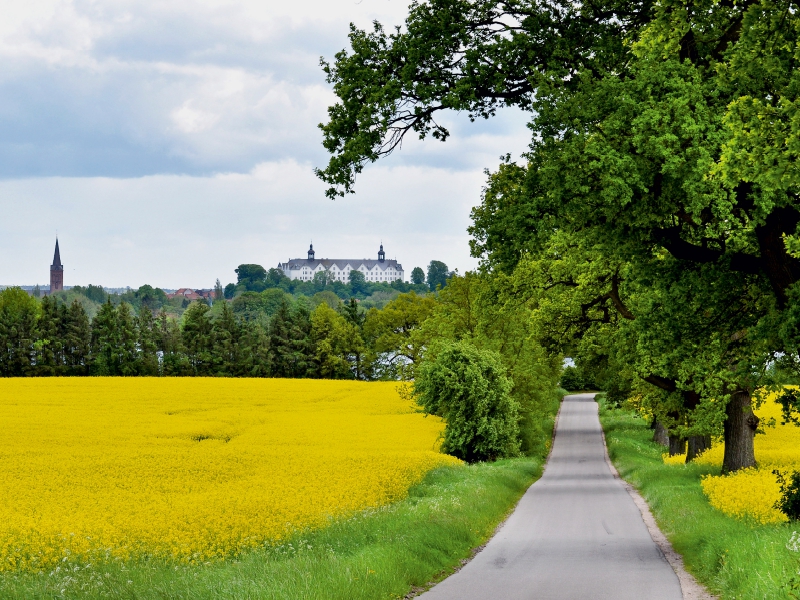 Das Plöner Schloss