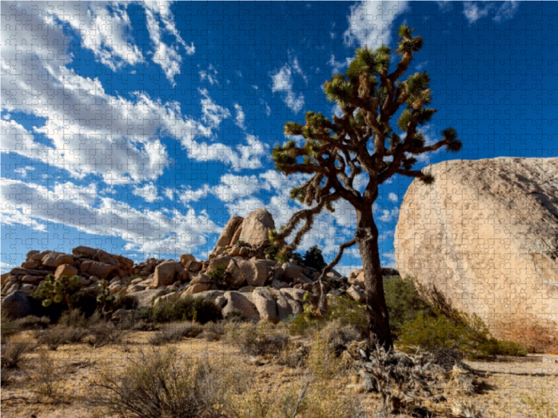 Joshua Tree Nationalpark, Kalifornien