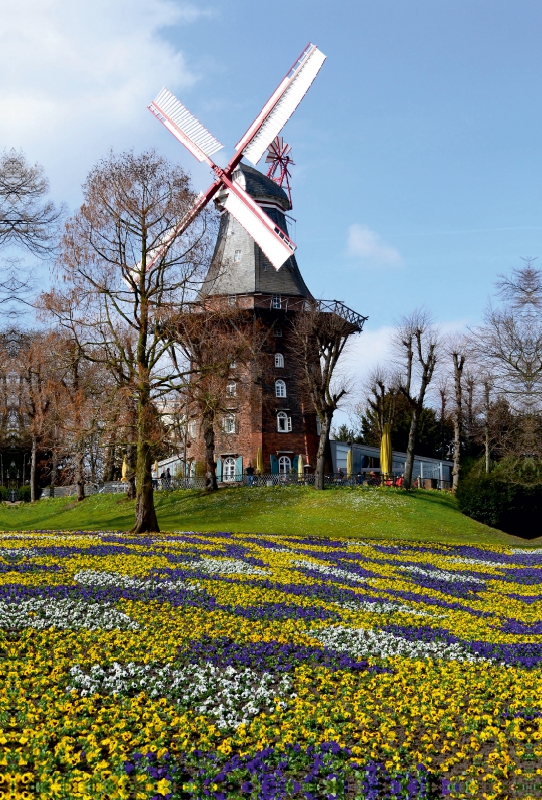 Windühle am Wall - BREMEN