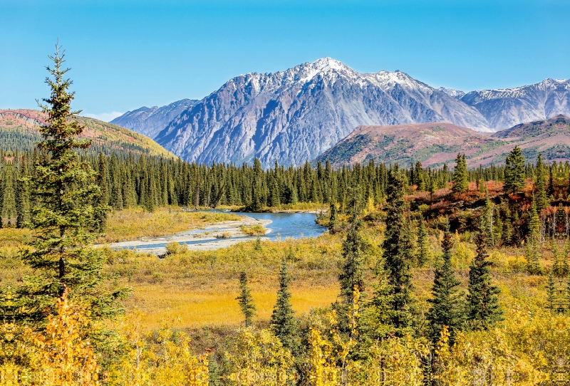 Herbst in der Alaska Range