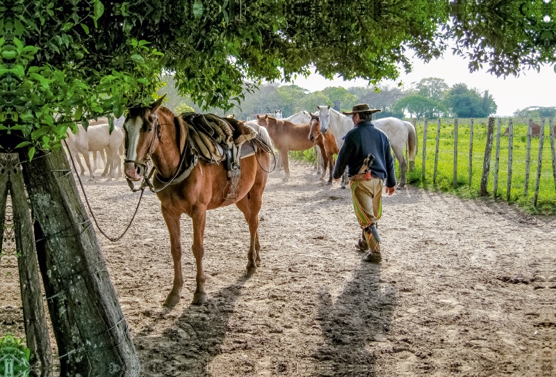 Gaucho - Estancia San Juan Poriahú