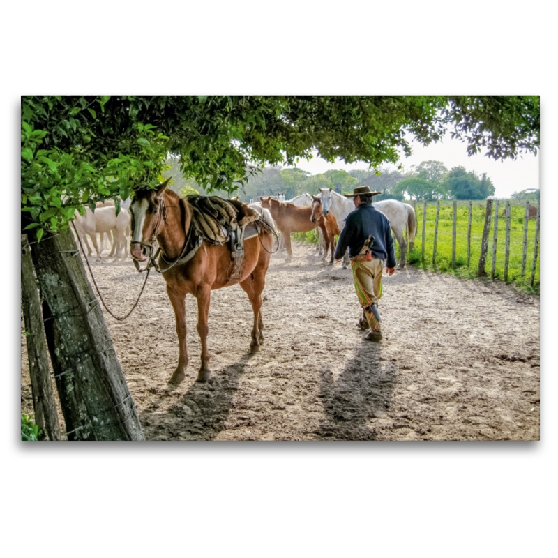 Gaucho - Estancia San Juan Poriahú