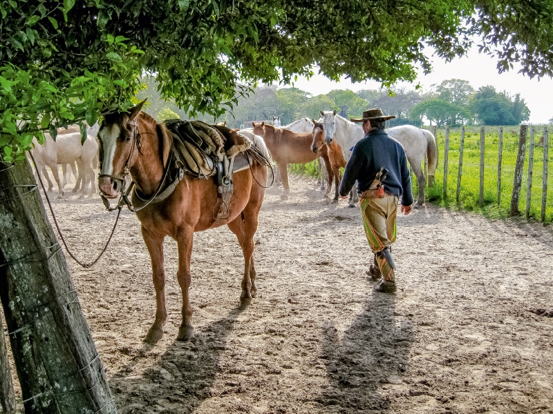 Gaucho - Estancia San Juan Poriahú