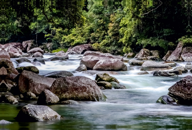 Mossman Gorge in Queensland