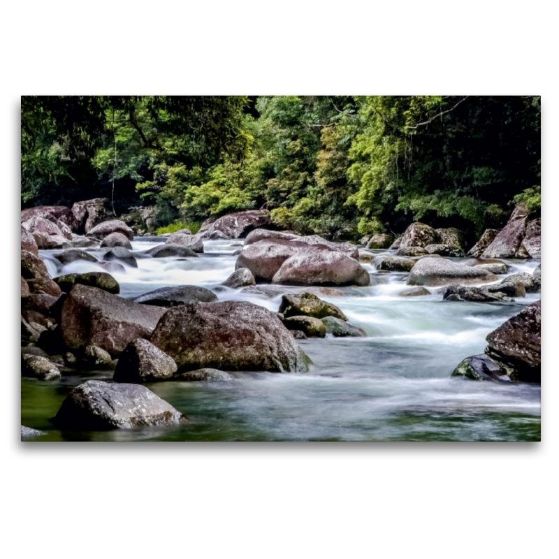 Mossman Gorge in Queensland