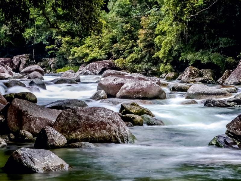 Mossman Gorge in Queensland