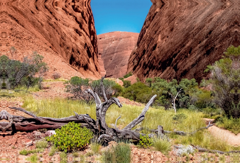 Roter Felswände im Kata Tjuta NP