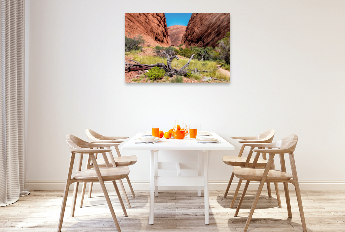 Roter Felswände im Kata Tjuta NP