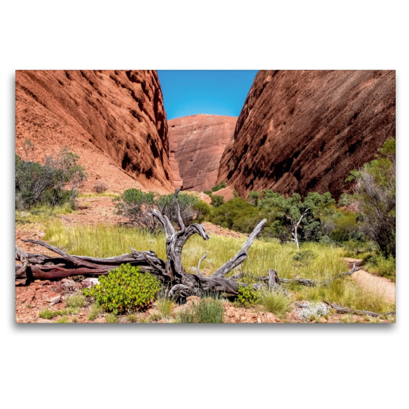 Roter Felswände im Kata Tjuta NP