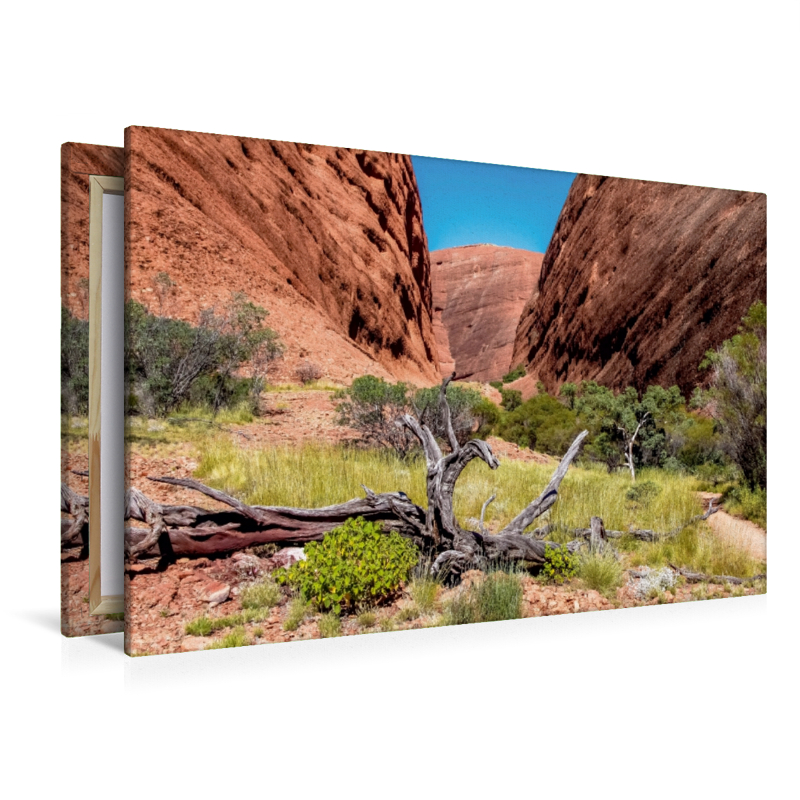 Roter Felswände im Kata Tjuta NP