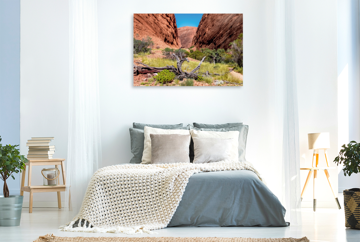 Roter Felswände im Kata Tjuta NP