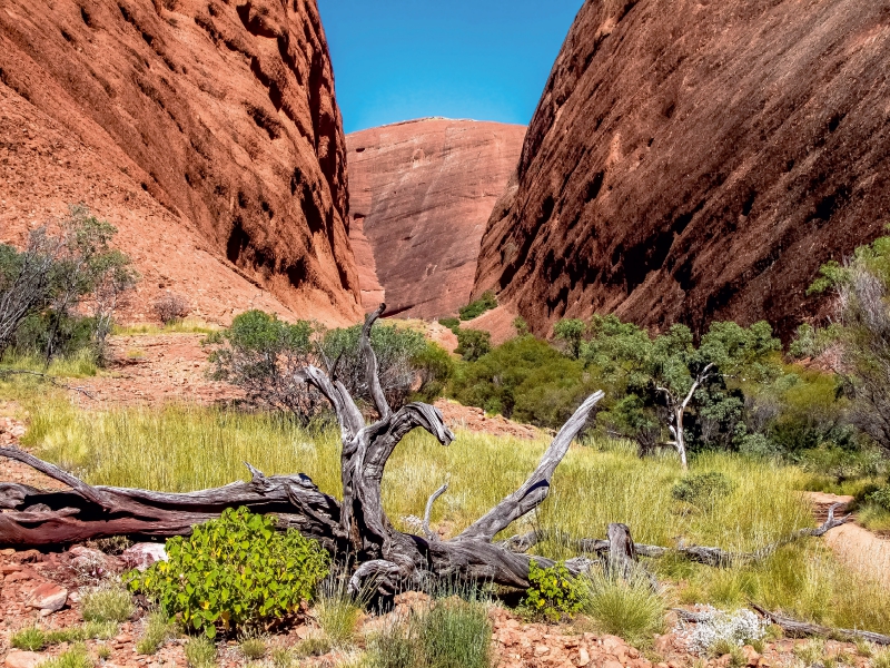 Roter Felswände im Kata Tjuta NP