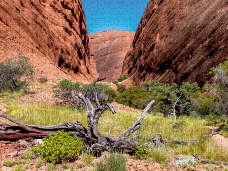 Roter Felswände im Kata Tjuta NP