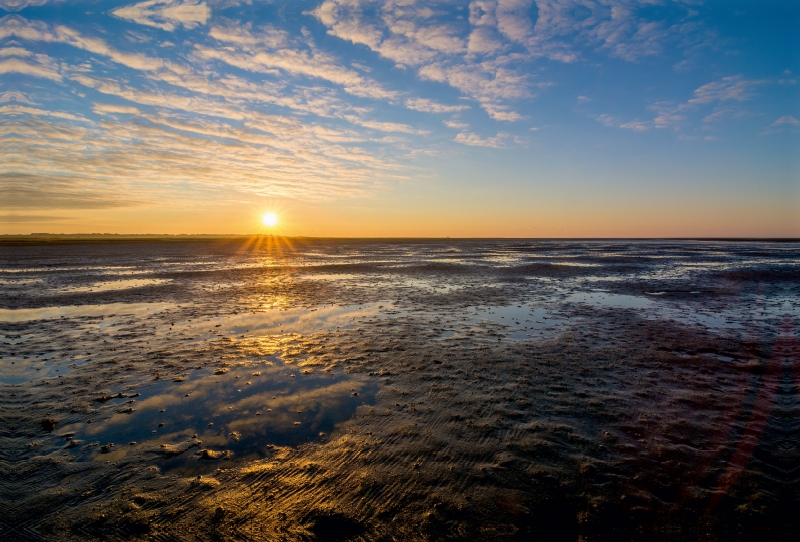 Morgen am Wattenmeer