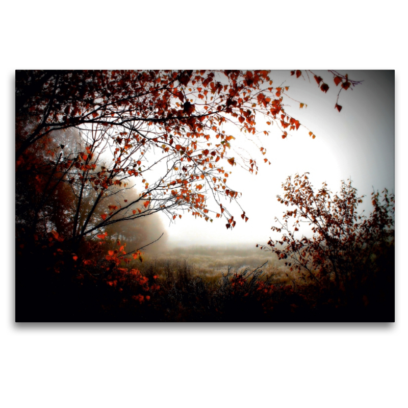 Herbstlicht im Pennigbüttelermoor