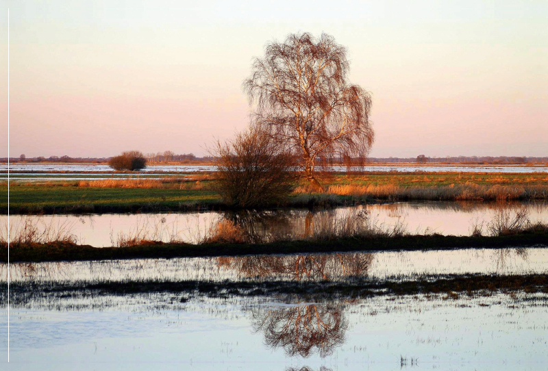 Die Hammewiesen in Osterholz- Scharmbeck