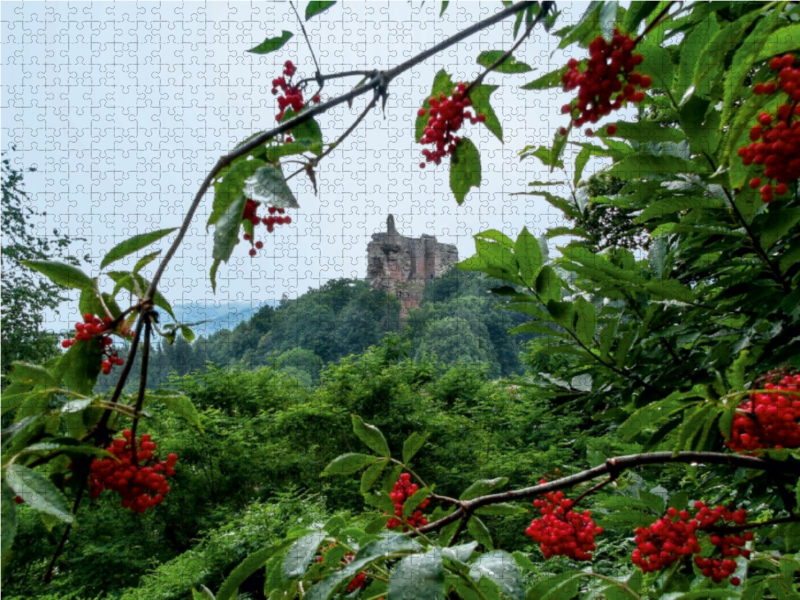 Die Ruine des Schlosses Fleckenstein.