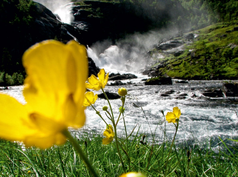 Zwischen Hardangerfjord und Bergen