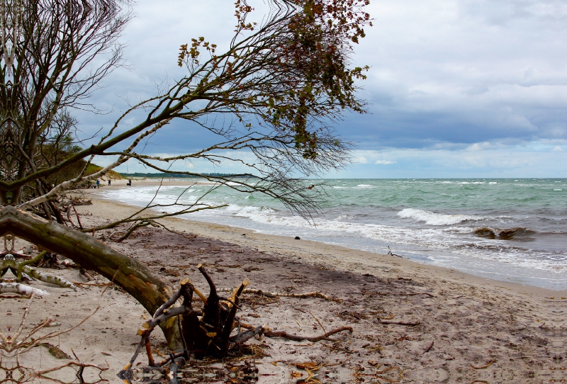 Der legendäre Weststrand