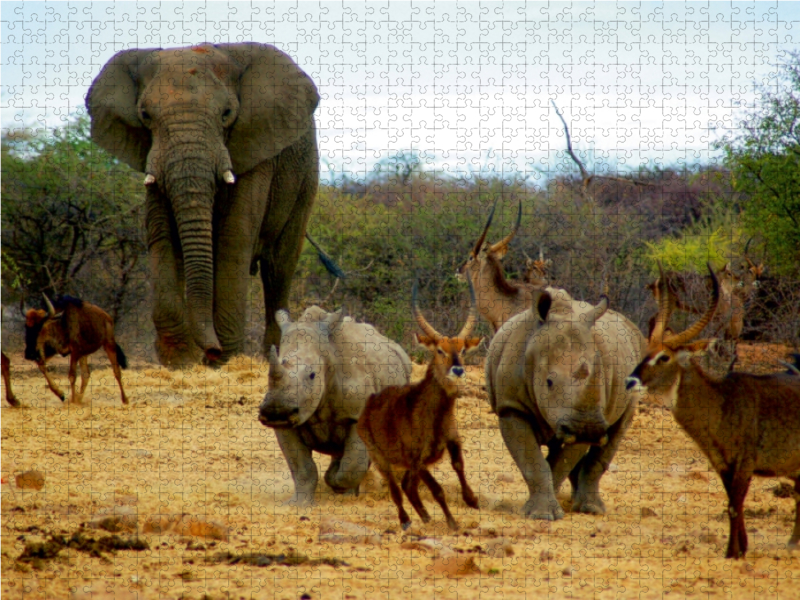 Elefant und andere afrikanische Tiere