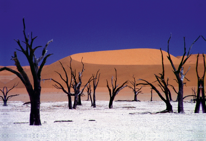 Wüste Namib