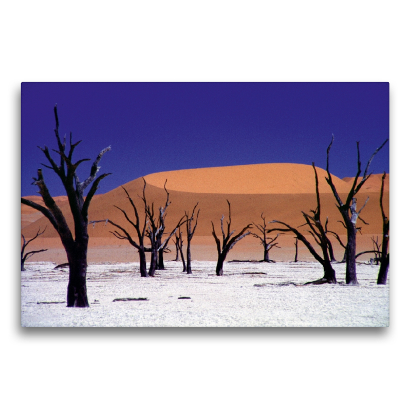 Wüste Namib