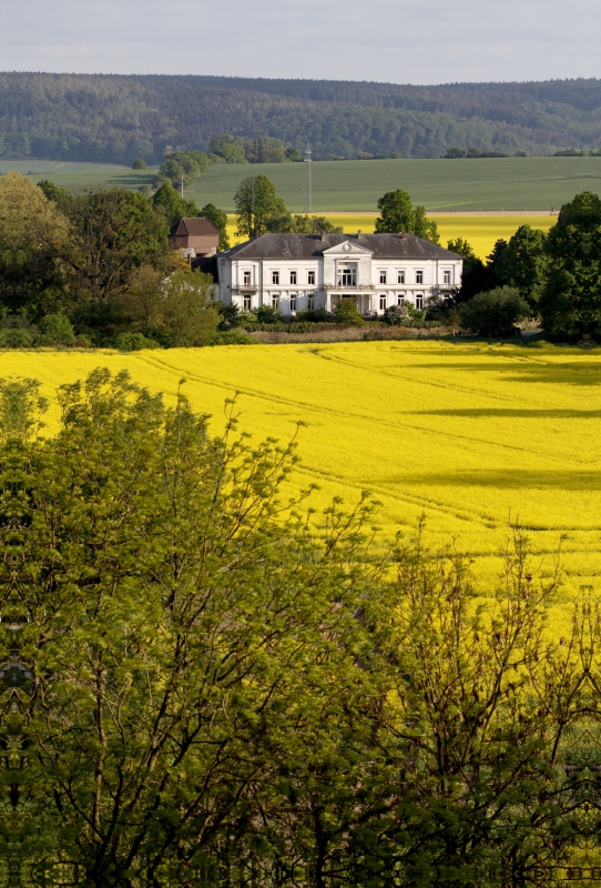 Gut Ohr, Weserbergland