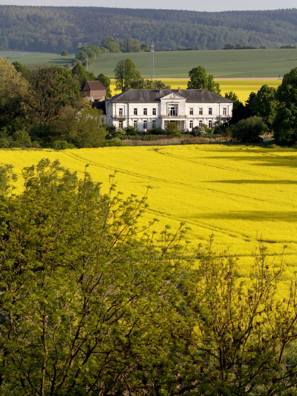 Gut Ohr, Weserbergland