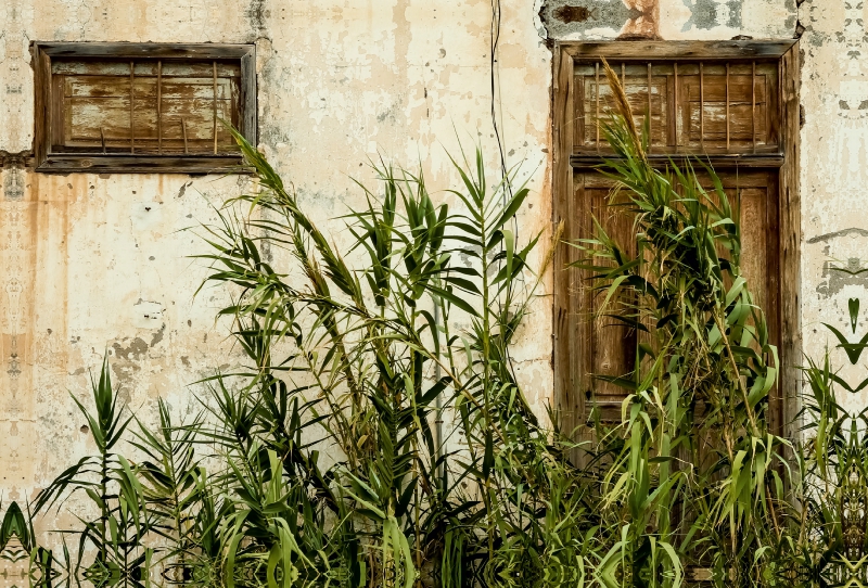 Entdeckungsreise La Gomera: Verlassenes Haus, verwilderter Eingang