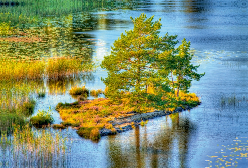 Sehnsucht Schweden - Insel mit Bäumen in Schwedens größtem See - dem Vänern