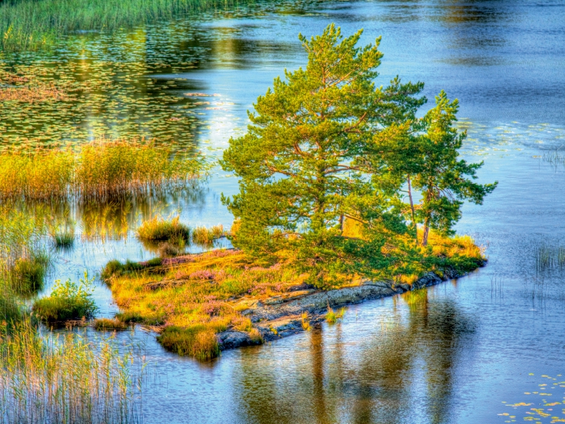 Sehnsucht Schweden - Insel mit Bäumen in Schwedens größtem See - dem Vänern