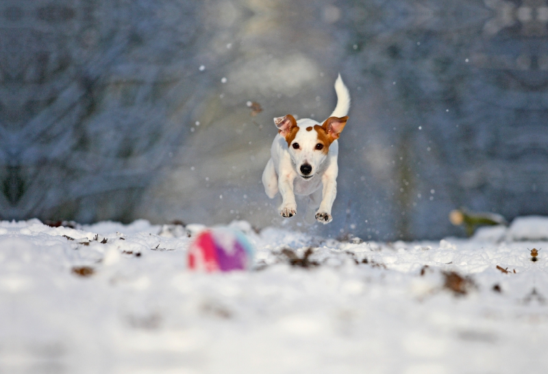 Winterspaß