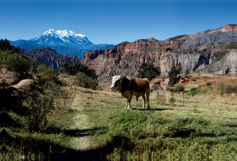 Canyon de Palca, 3.465 m ü. M., Bolivien