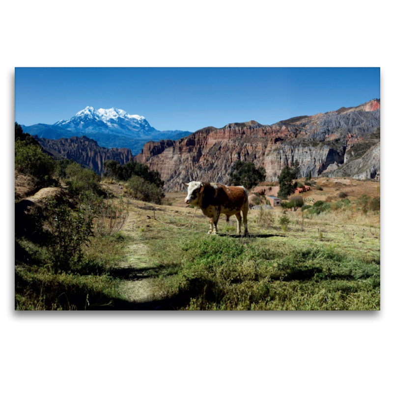 Canyon de Palca, 3.465 m ü. M., Bolivien