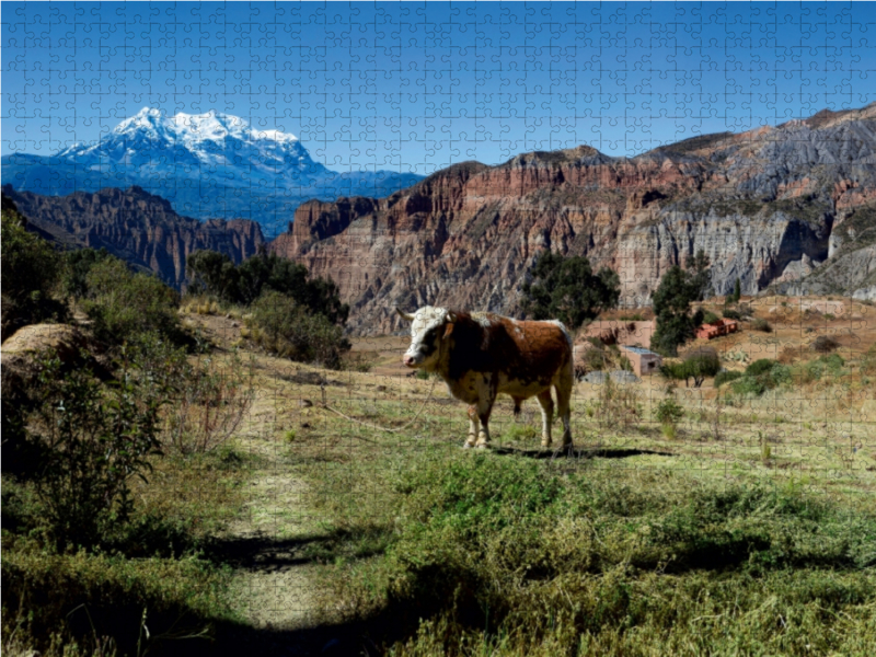 Canyon de Palca, 3.465 m ü. M., Bolivien