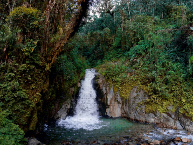 Regenwald bei Aguas Calientes, Peru