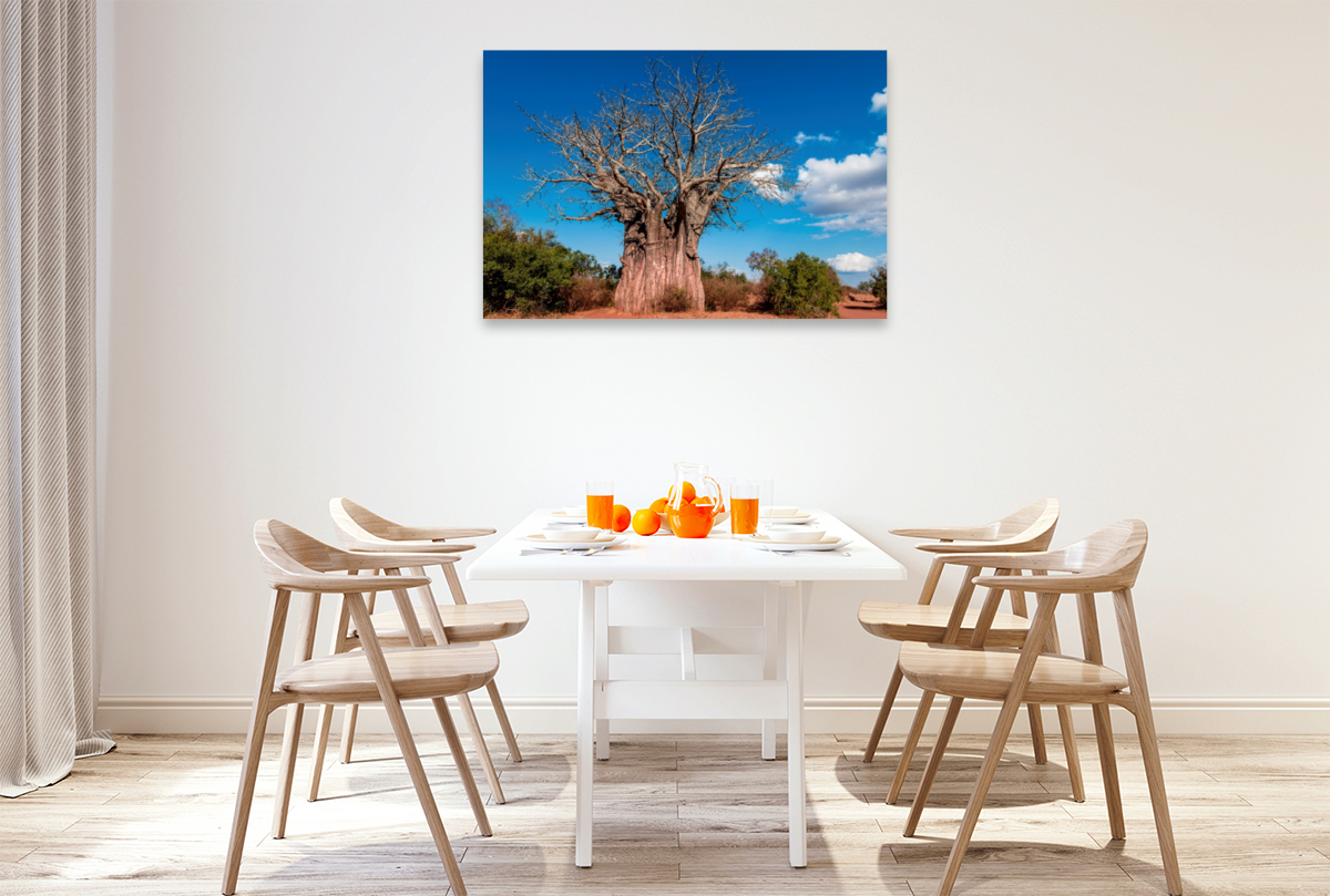 Riesiger Baobab, der südlichste Affenbrotbaum Afrikas, Kruger National Park