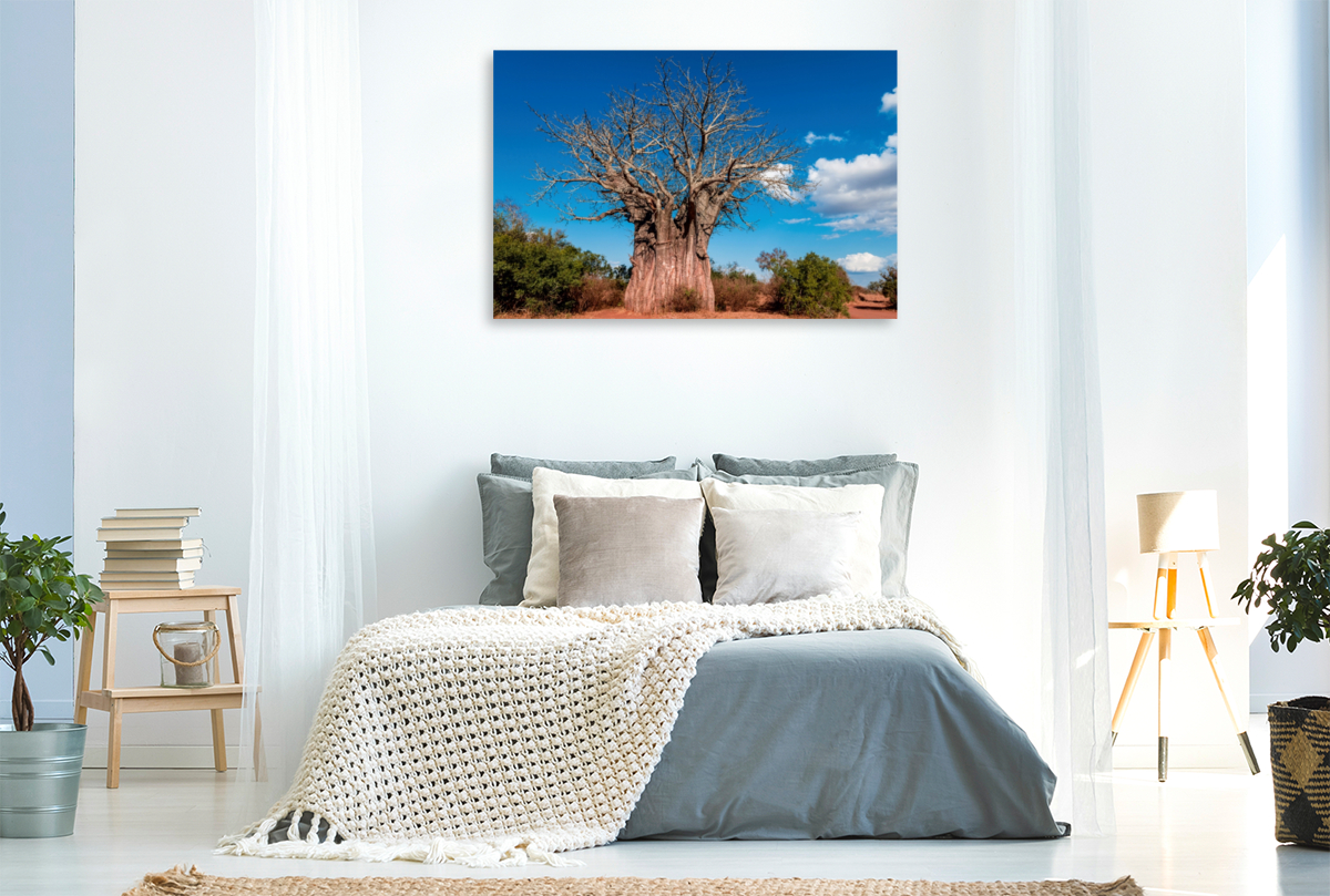 Riesiger Baobab, der südlichste Affenbrotbaum Afrikas, Kruger National Park