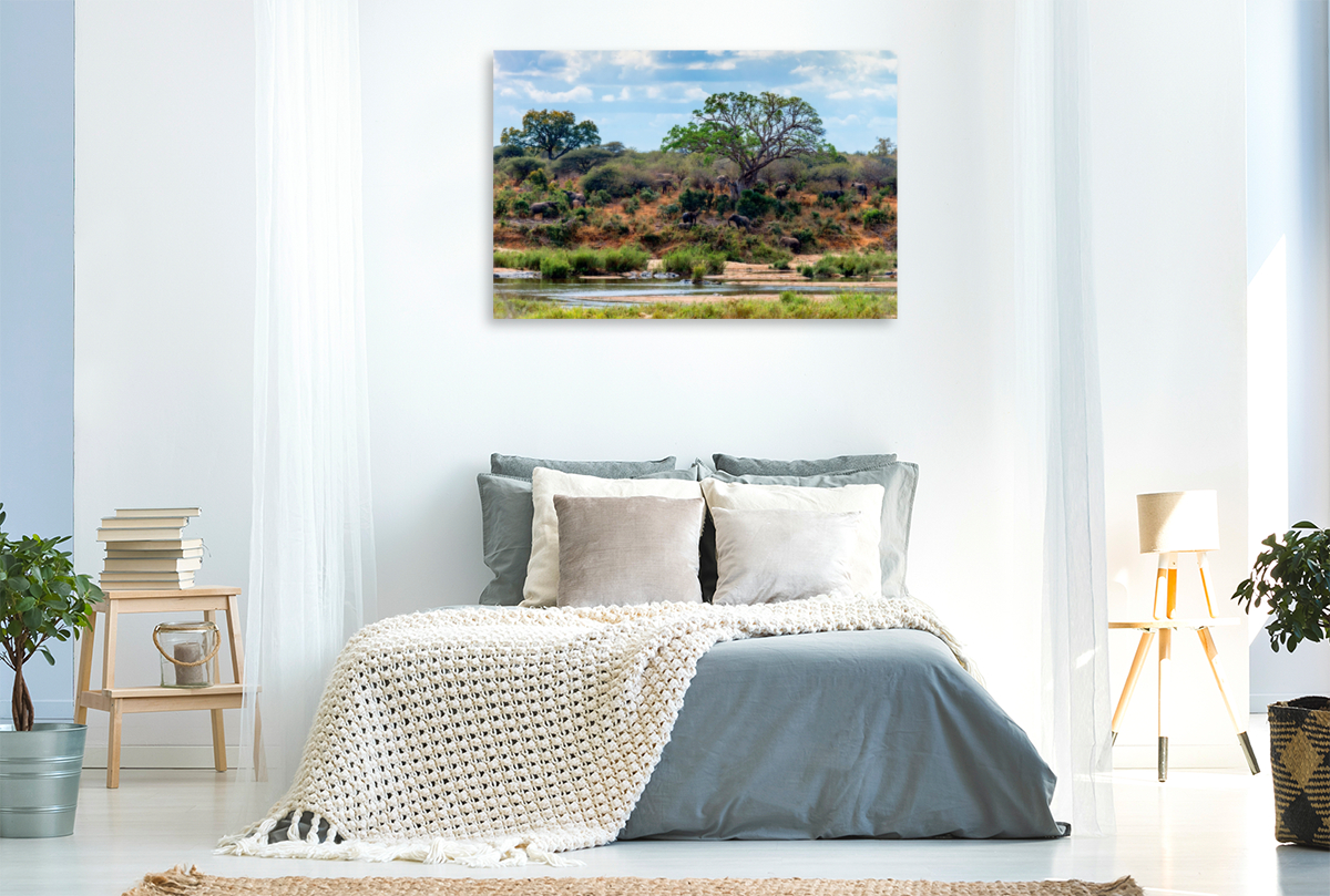 Flusslandschaft mit Elefantenherde bei Skukuza, Kruger National Park