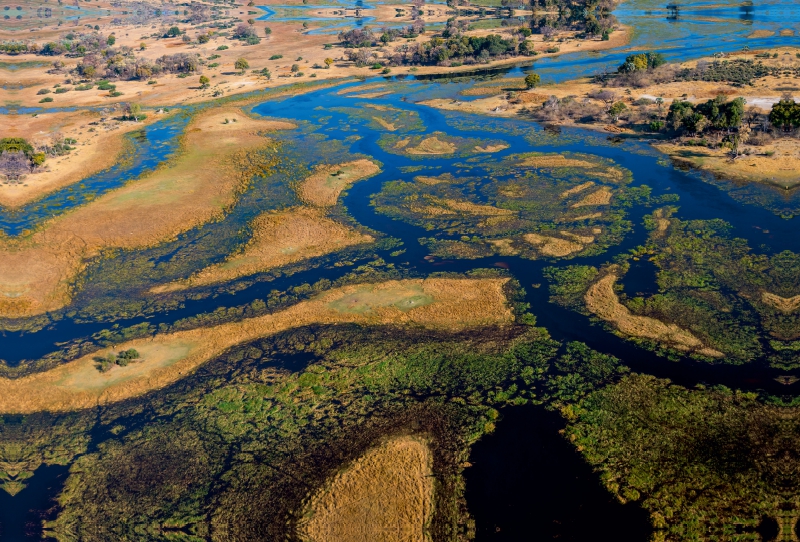 Im Okavango-Delta bei Bukwi Island